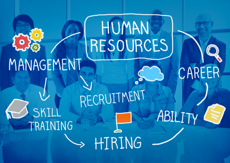 human resources الموارد البشرية