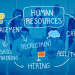human resources الموارد البشرية