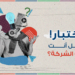 ابن الشركة