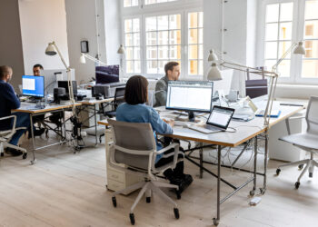 Utilizing External Software Resources in Egypt 
