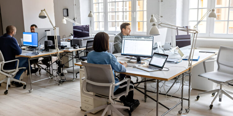 Utilizing External Software Resources in Egypt 
