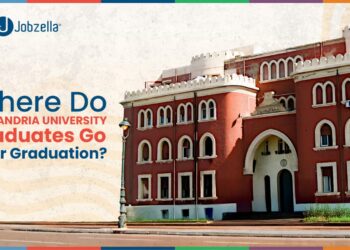Where Do Alexandria University Graduates Go After Graduation?