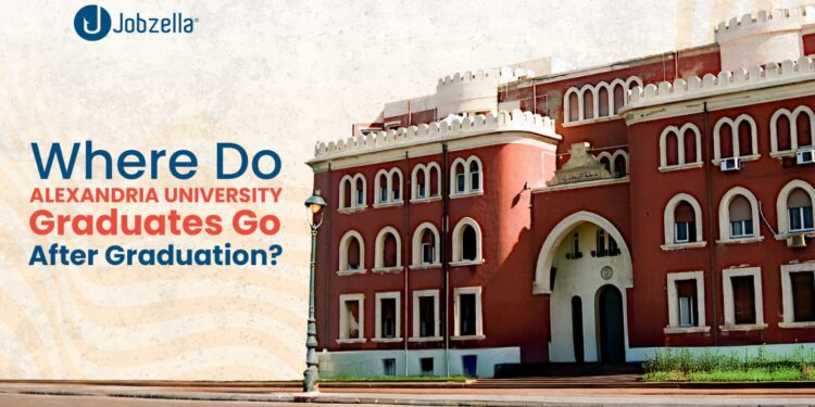 Where Do Alexandria University Graduates Go After Graduation?