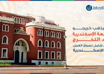 أين يذهب خريجو جامعة الإسكندرية بعد التخرج؟