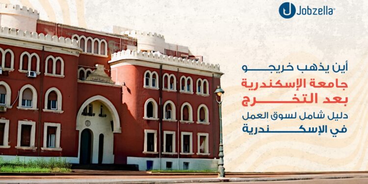 أين يذهب خريجو جامعة الإسكندرية بعد التخرج؟