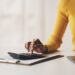 Numbers That Add Up: Land Your Dream Accounting Job Today!