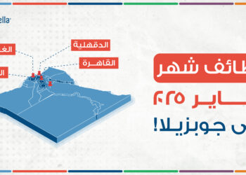 وظائف خالية في القاهرة والجيزة والغربية والدقهلية لشهر يناير 2025