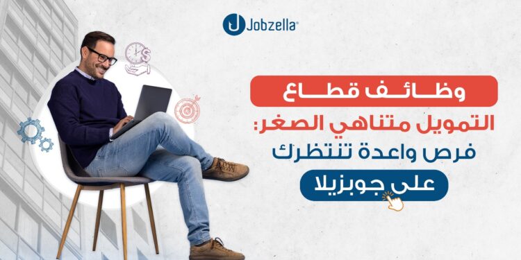 وظائف قطاع التمويل متناهي الصغر: فرص واعدة تنتظرك على جوبزيلا