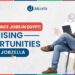 Microfinance Jobs in Egypt: Promising Opportunities on Jobzella